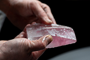 Behind The CASE：Gleichenia