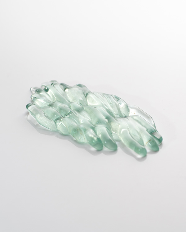 Gleichenia