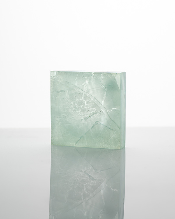 Gleichenia