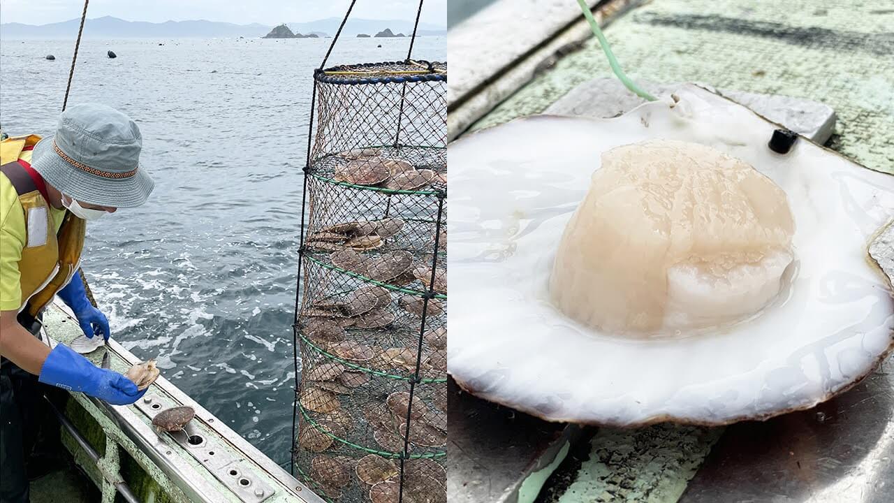 『炊き込みご飯の素』のおいしさのモト志津川湾の漁、豊かな恵み